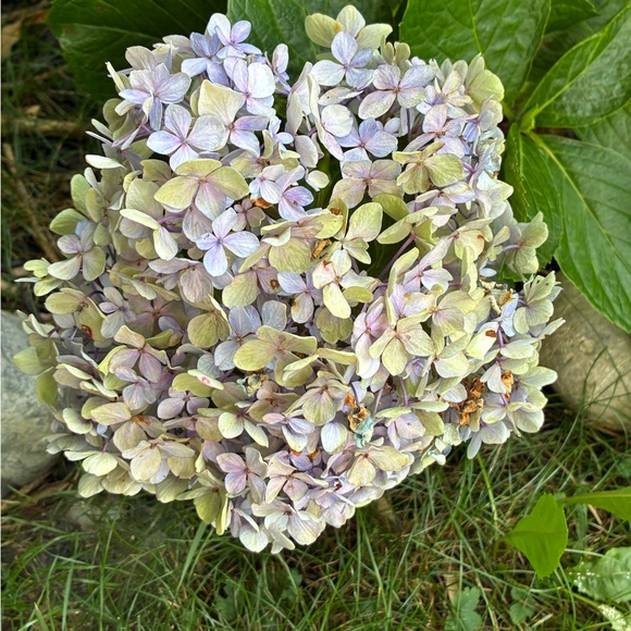 ⁉️MYSTERY BOX⁉️5 Mixed Pieces Cookie Lee Fine Fashion Jewelry worth $125+ Retail - Picture 10 of 15